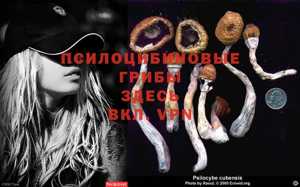 apvp Заводоуковск